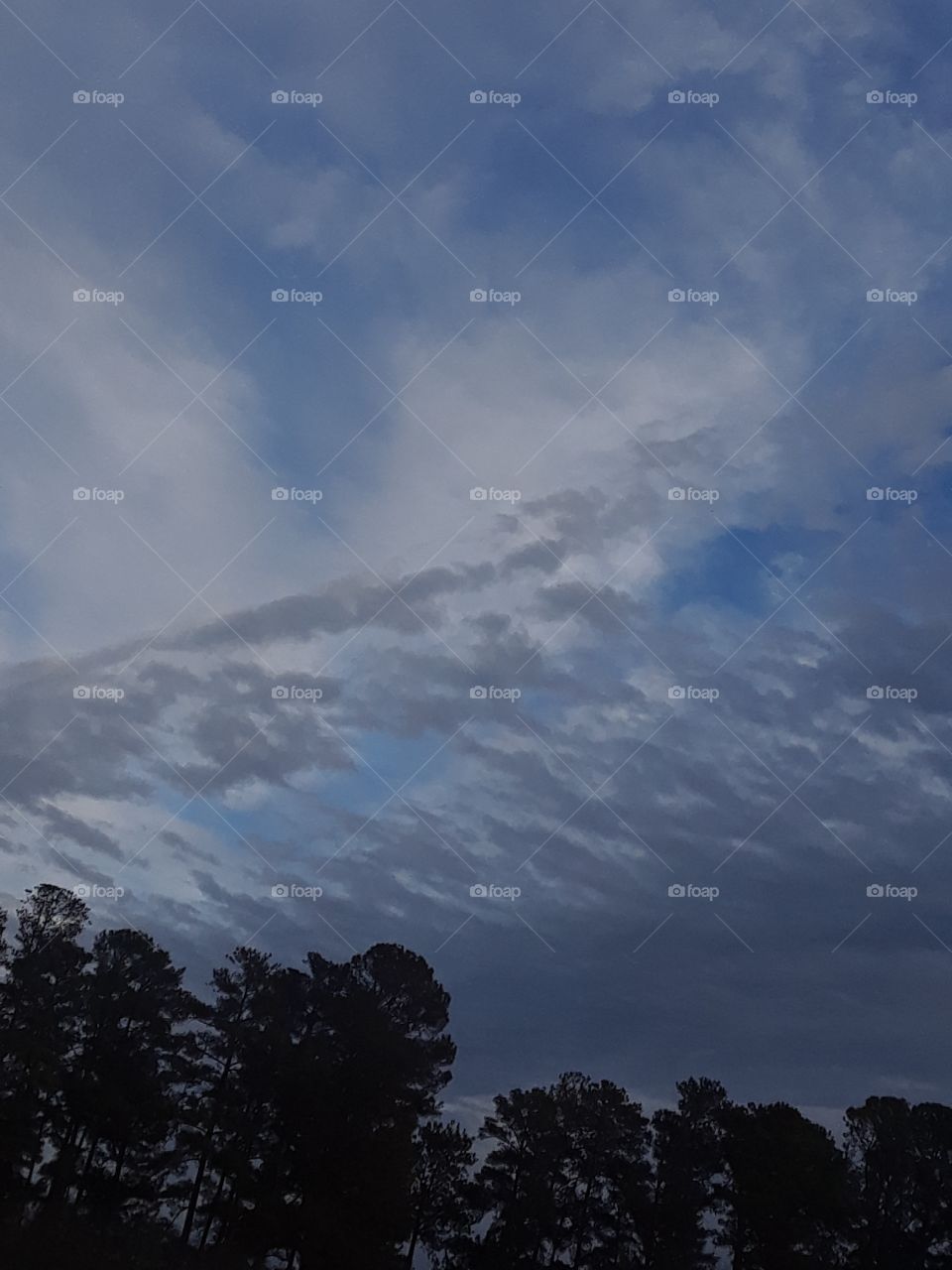 Series: Shades Of Gray