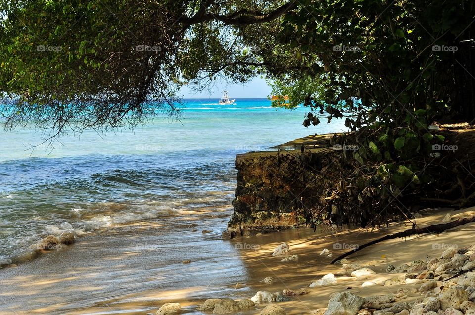 Scenic view of beach