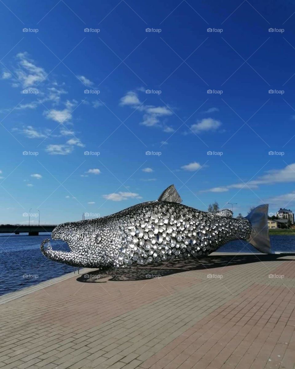 The oldest city in Lapland, Finland, 
my hometown Tornio, is 400 years old this year (2021). In honor of the anniversary year, a magnificent salmon sculpture was brought along the Tornio River. The name of the sculpture is Kojamo.