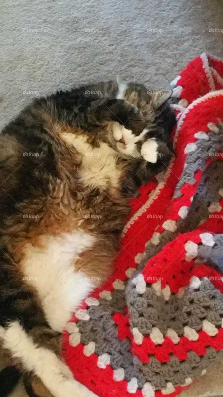 turn off the lights. Andy  (20 yr old) trying to sleep on his blankie.
