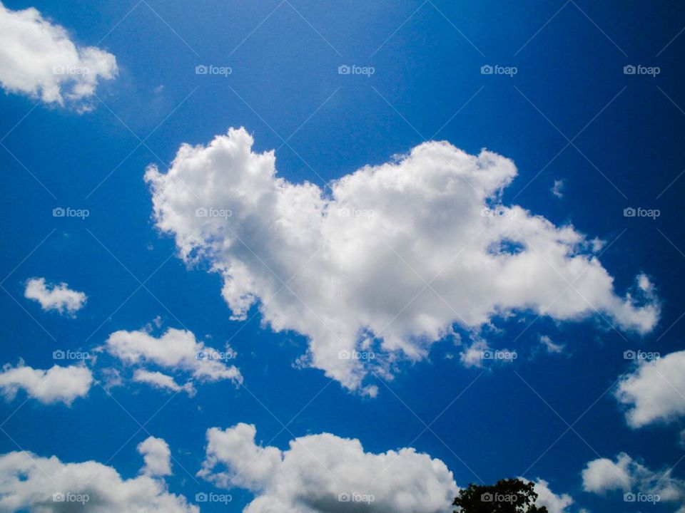 Heart cloud