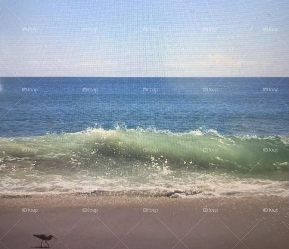 Outer banks beach