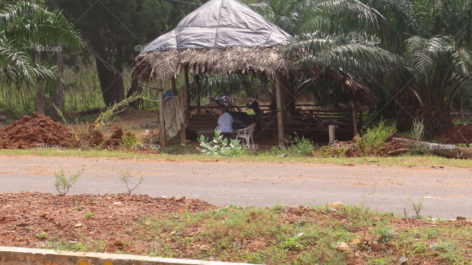 Indian village summer