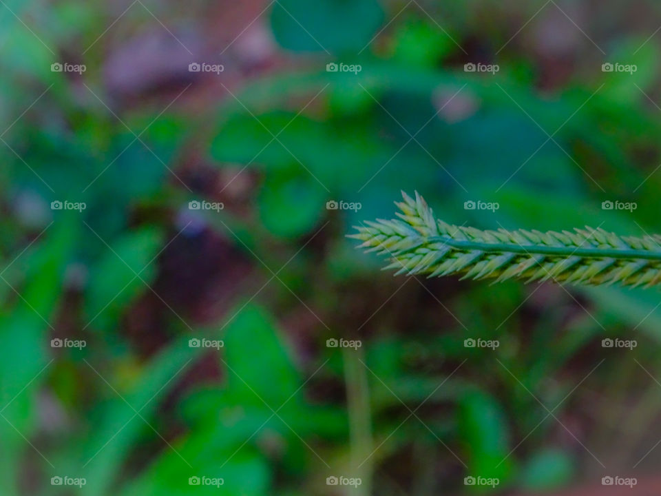 how much do you like this photo