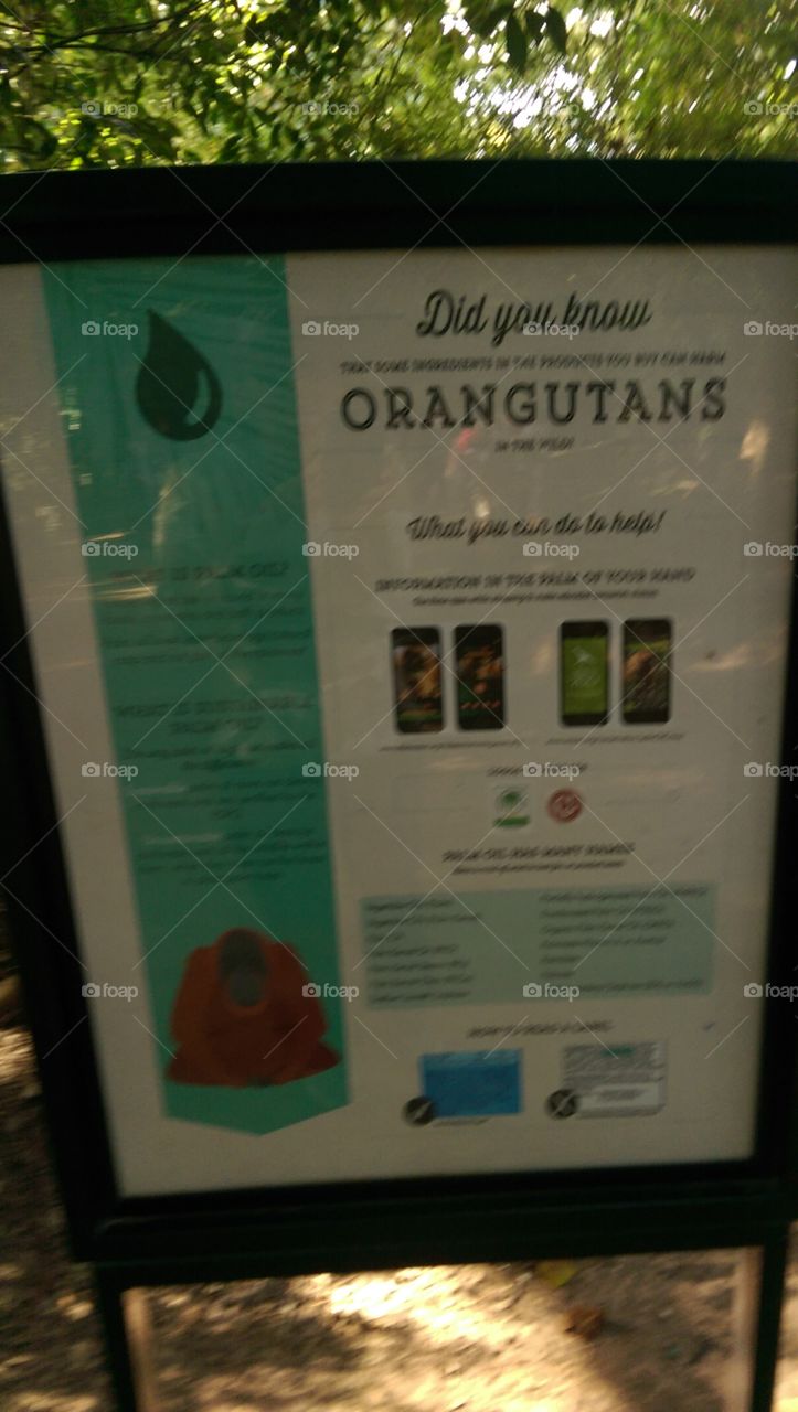 No Person, Landscape, Soccer, Offense, Competition