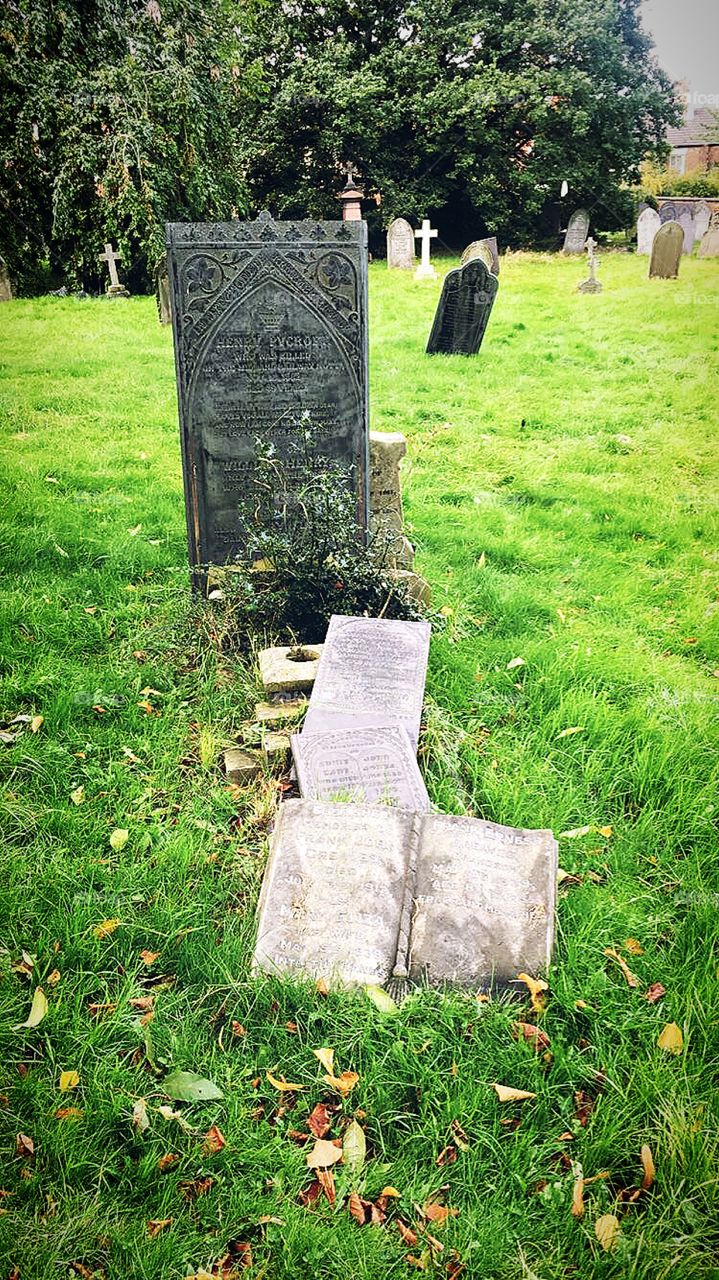 Take your knowledge to the afterlife 