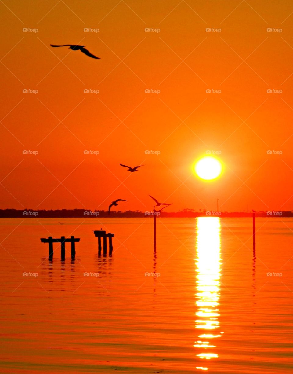 Magic Sunrise and Sunset - The glowing, descending setting sun gave a warm orange tinge to the sky and cast an iridescent shadow on the waters surface