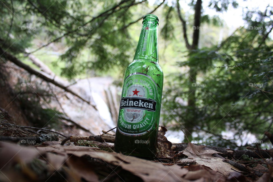 Heineken. During a walk in the woods I came across someone's litter.