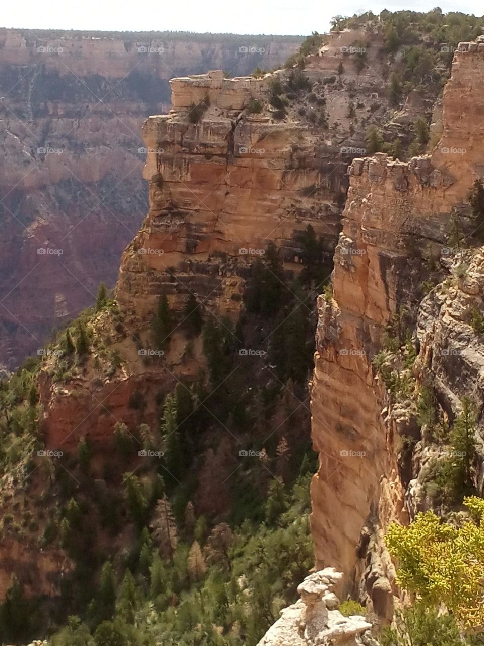 Mountain upper edge Grand Canyon