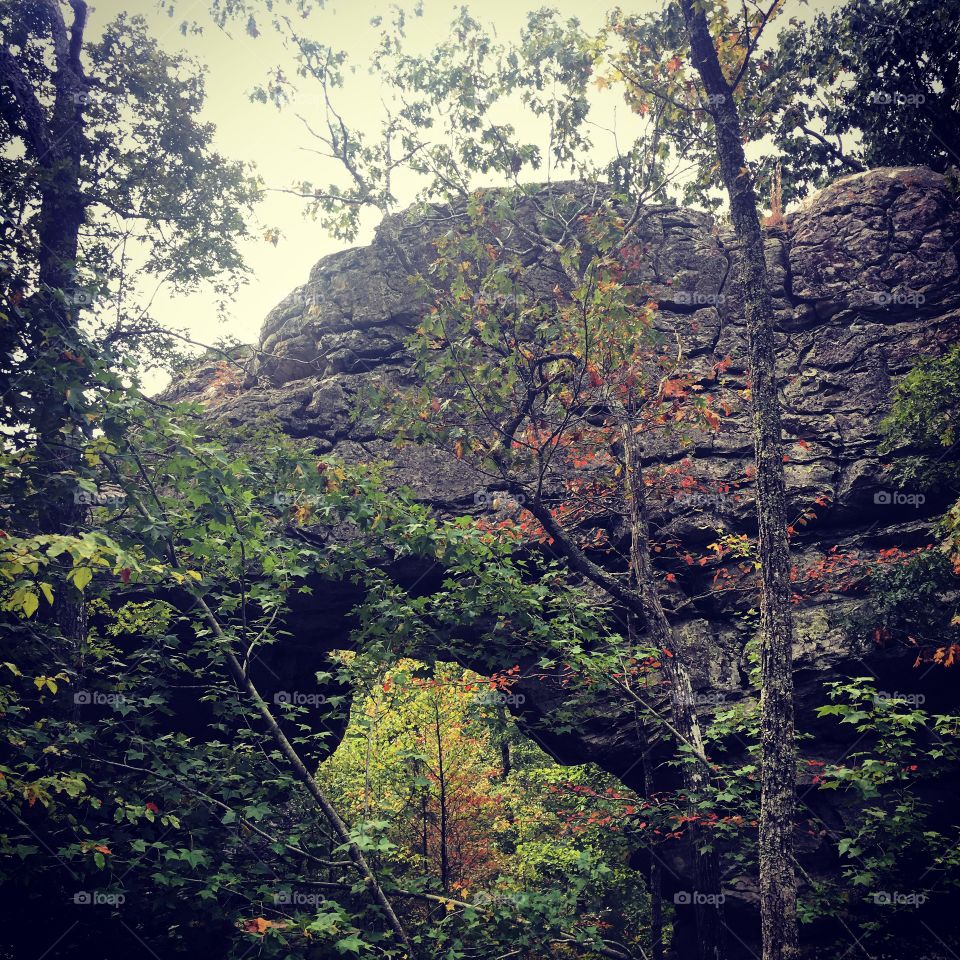 Natural bridge on the Seven Hollows trail in Petit Jean State Park, Arkansas