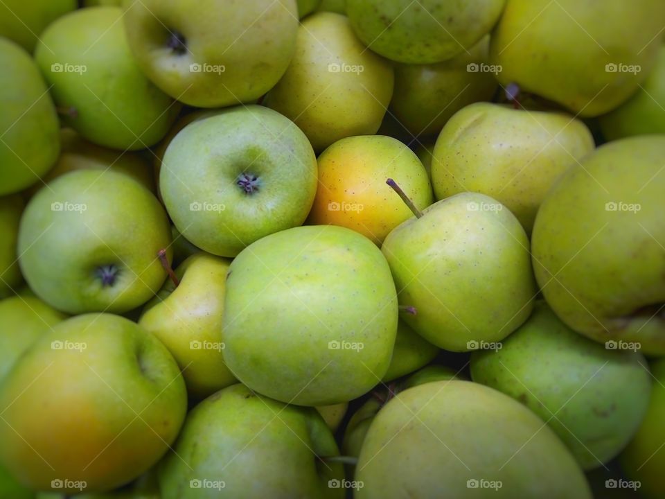 яблоки.фрукты.сад.зеленый.
