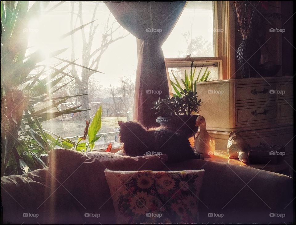 Furniture, Room, Seat, Sofa, Family