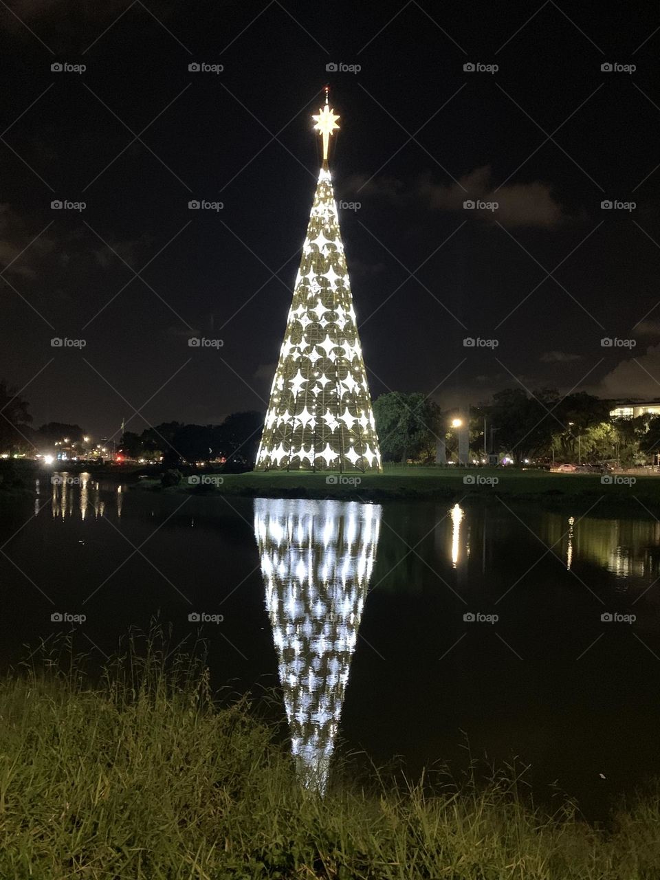 Christmas tree reflection in lake at night