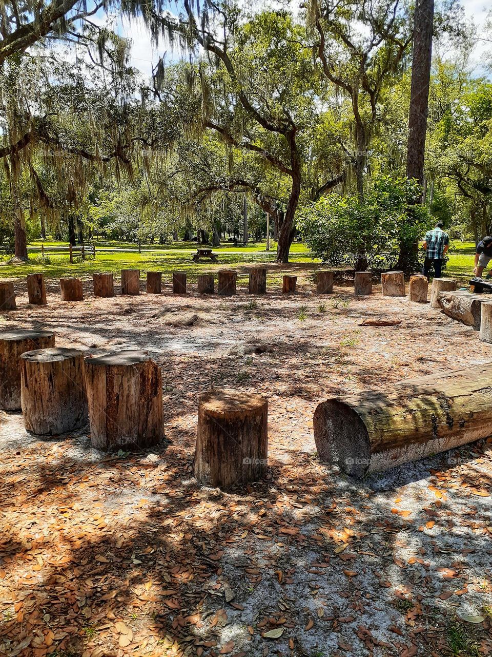 A tree stump circle for gatherings is at Mead Botanical Garden in Winter Park, Florida.