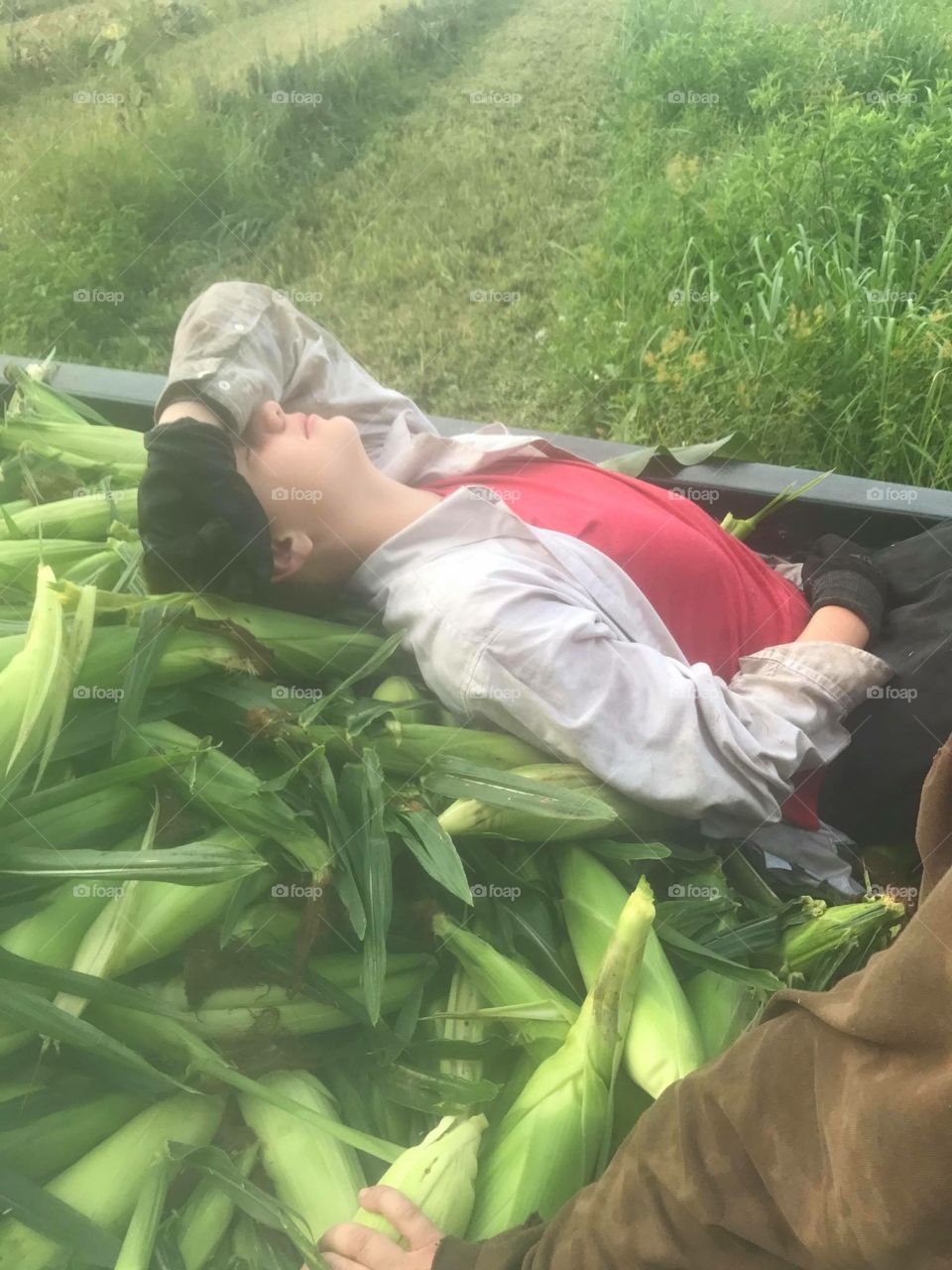 Picked a wagon load of corn bright and early in the morning... wore him out to exhaustion! 