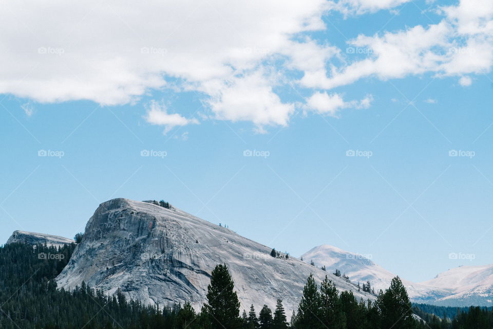 Summer at Yosemite National Park