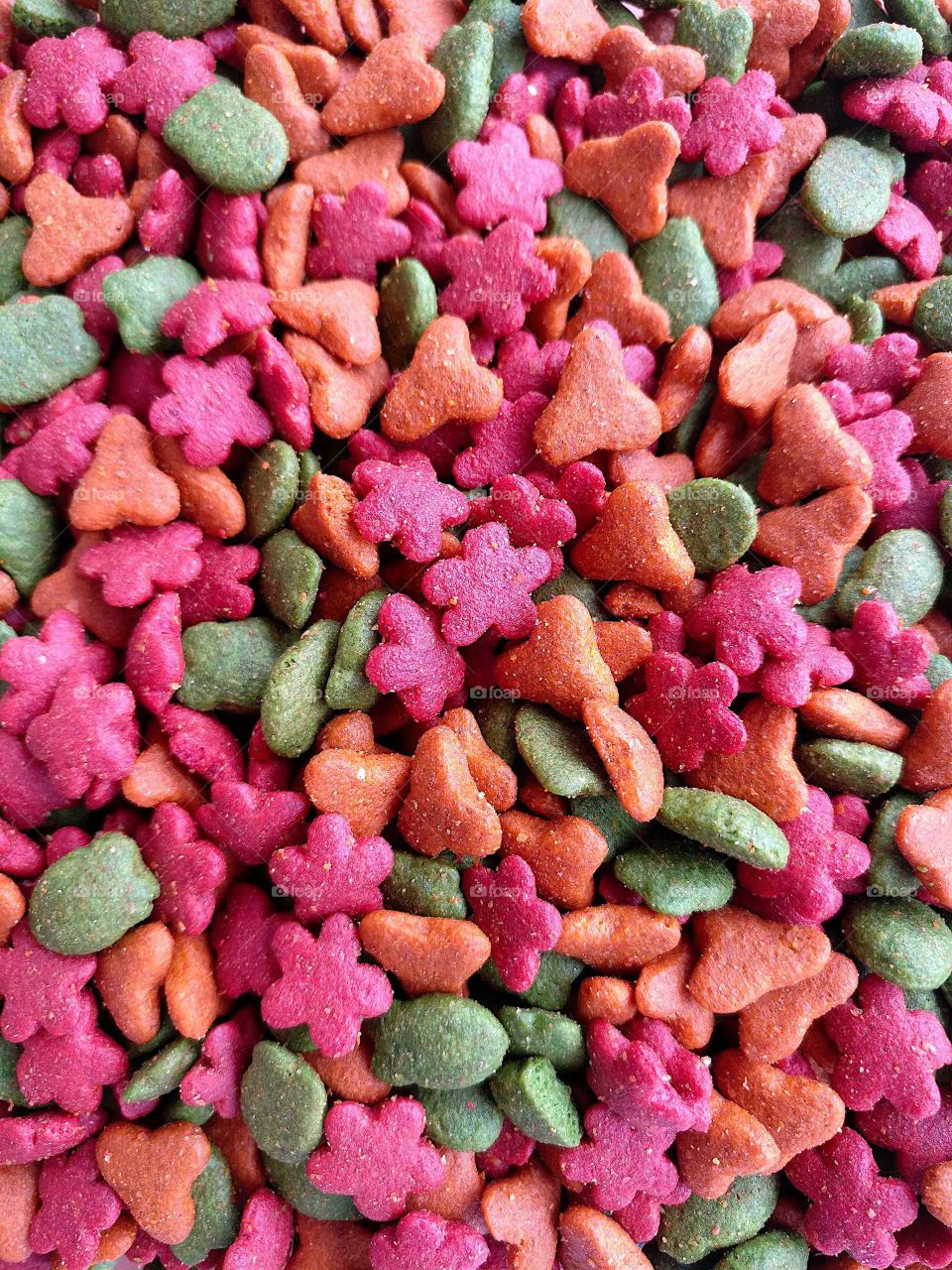 Colorful cat food