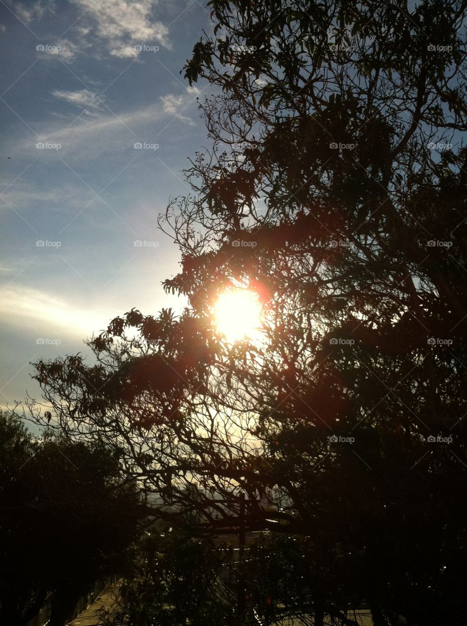 ☀️#Sol muito bonito de #natureza e #beleza indescritíveis.
Obrigado, #MãeTerra. 
🌱
#inspiração #amanhecer #morning #fotografia #paisagem #sun #céu #landscapes 