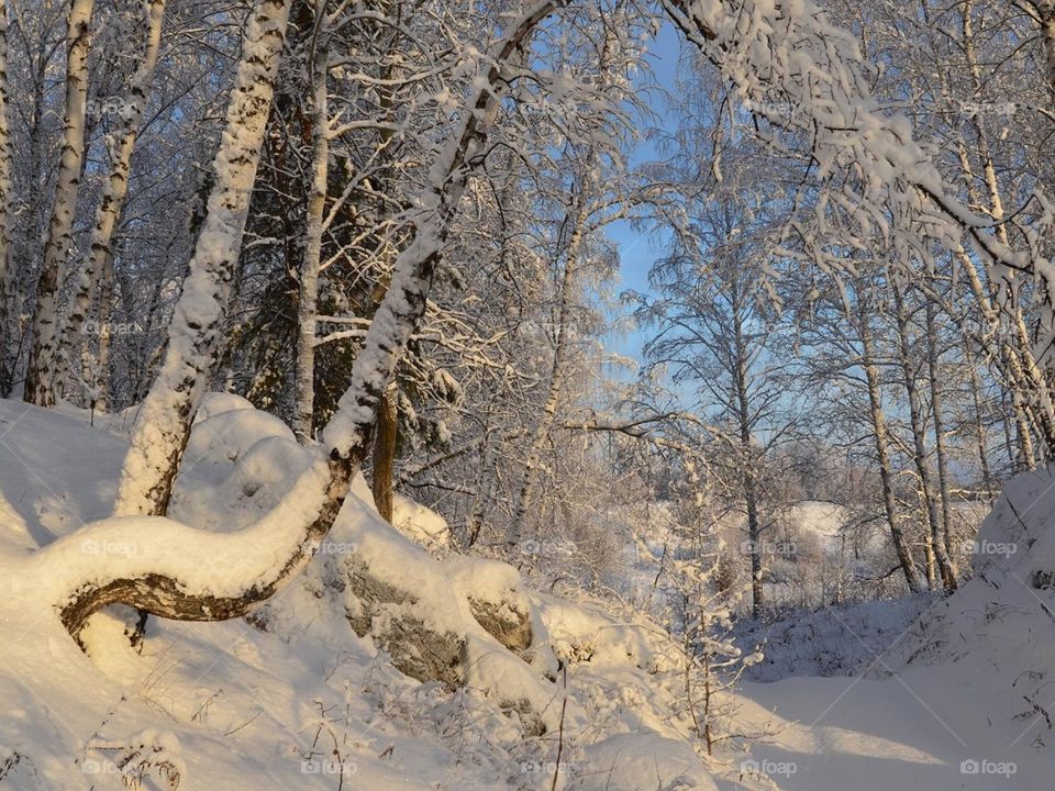 Красоты Сибири