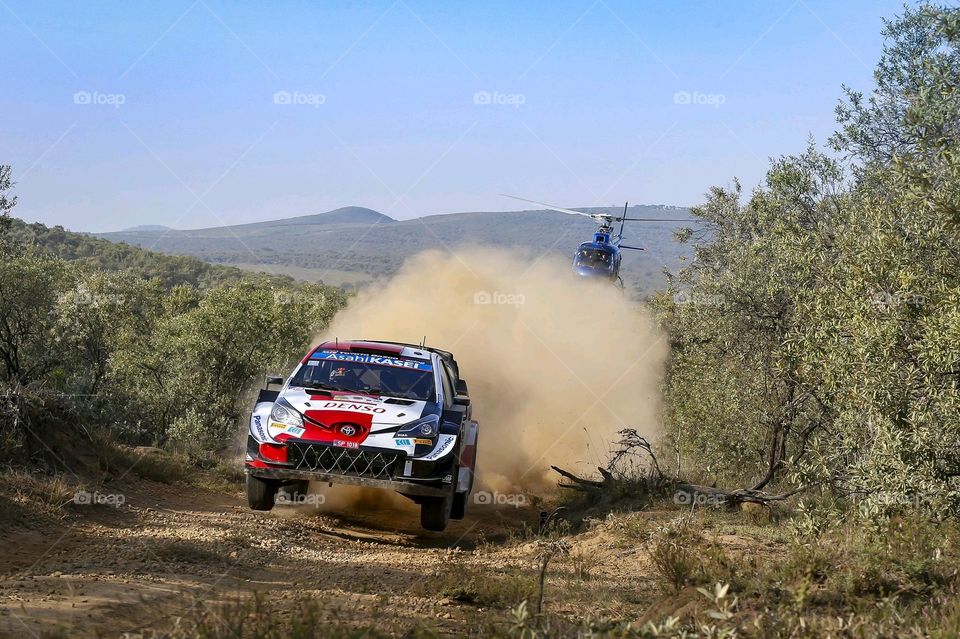 safari rally