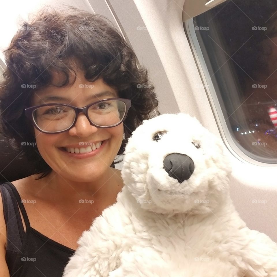 teddy bear on the plane