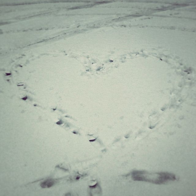 Heart