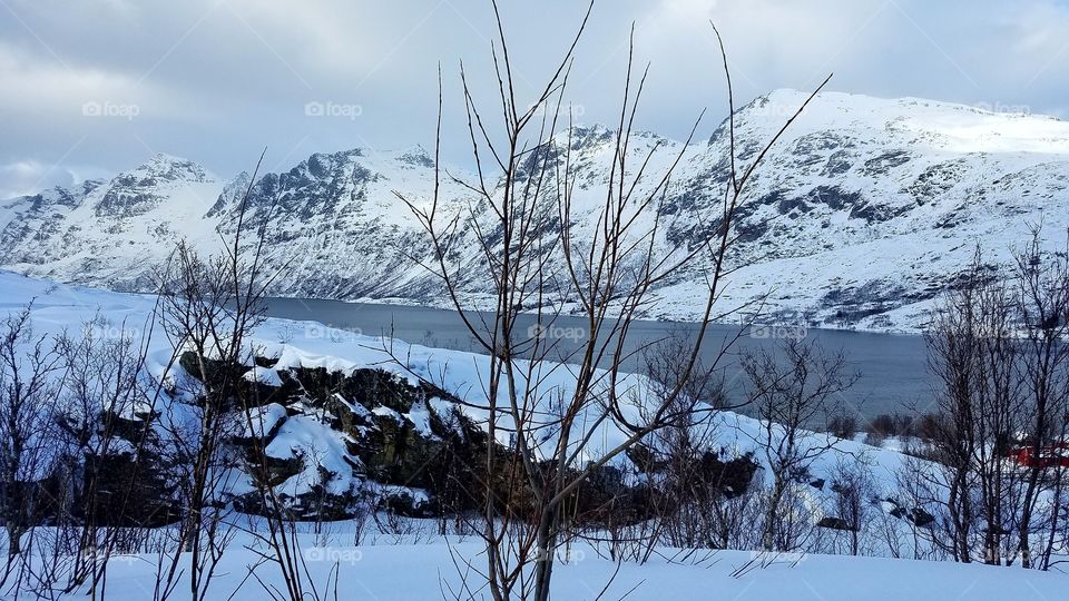 Frozen winter landscapes