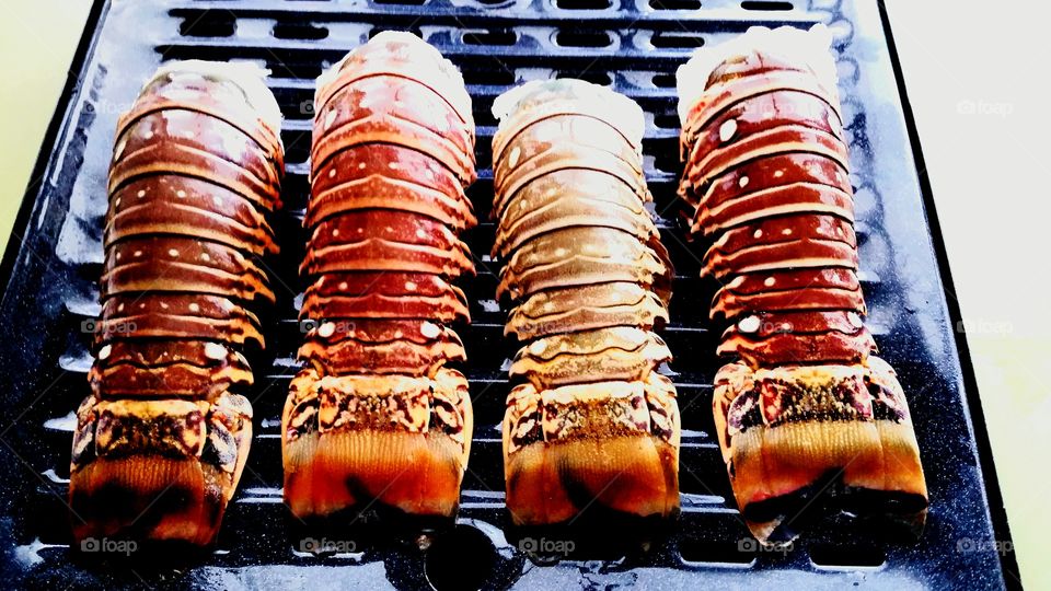 Lobster tails. Lobster tails on broiler pan