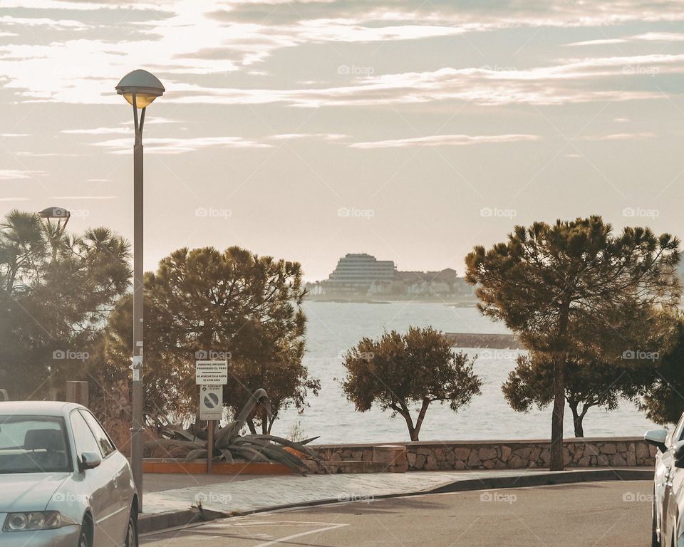 Street, City, Tree, Sunset, Travel