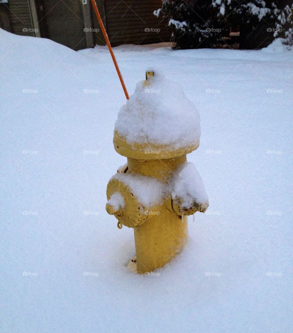 fire hydrant