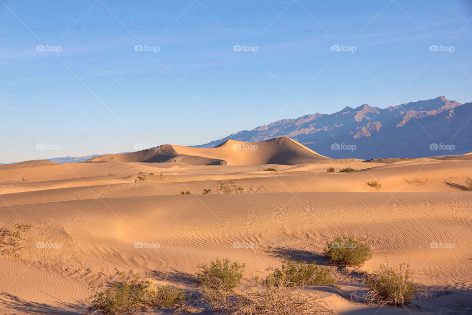 Sand Dunes Death Valley