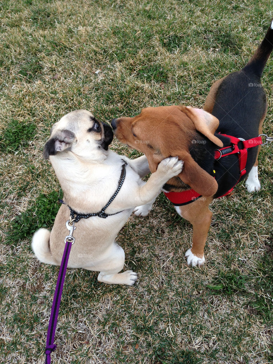And now I'm going to kiss you!