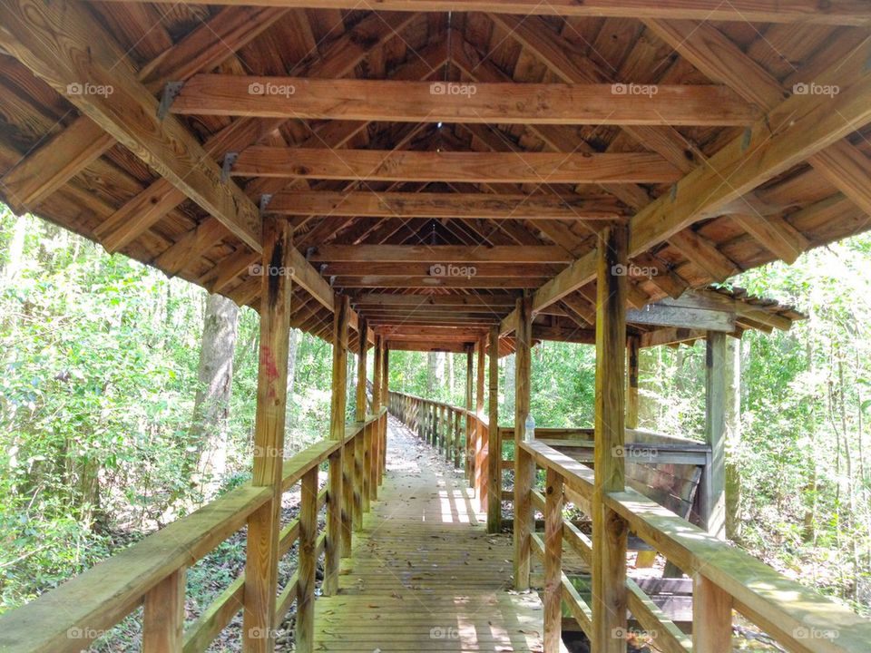 Covered bridge 