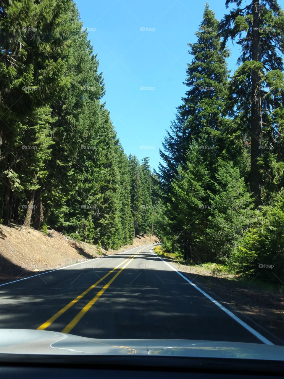 Road, No Person, Asphalt, Highway, Tree