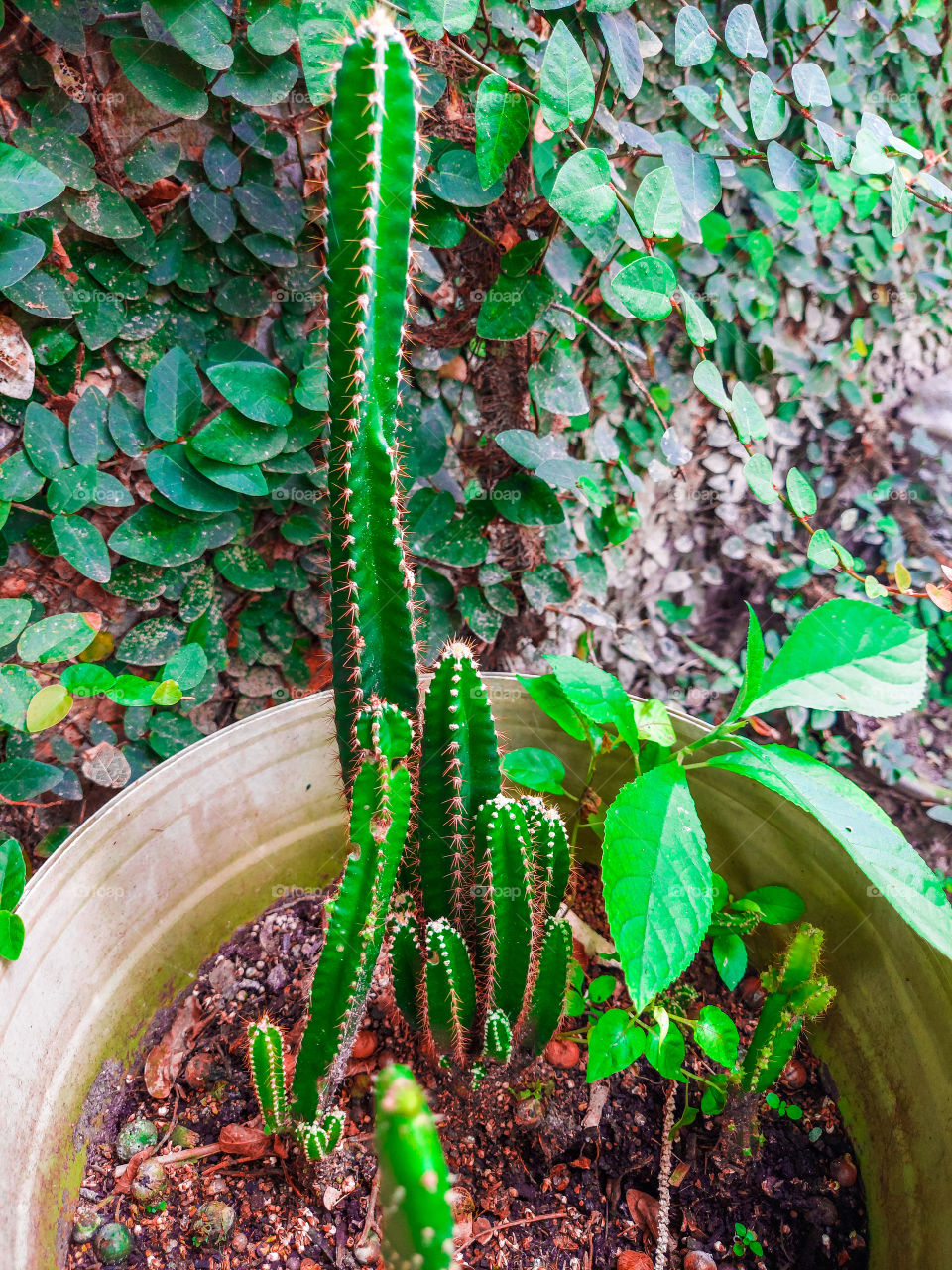 foto com boa resolução, e editada.