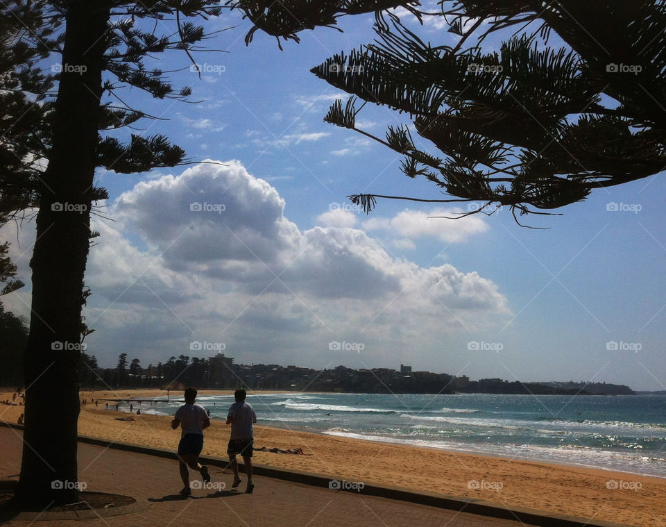 beach sky blue tree by king