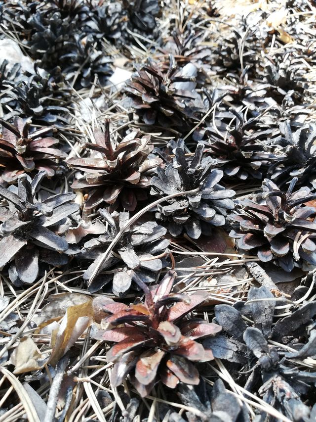 texture
