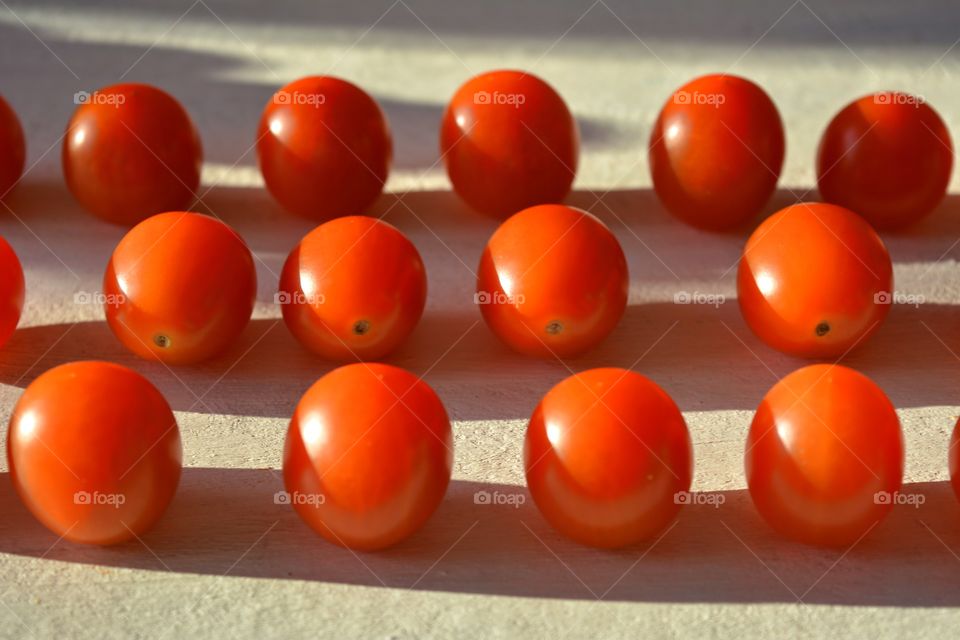 red tomatoes cherry in the sunlight