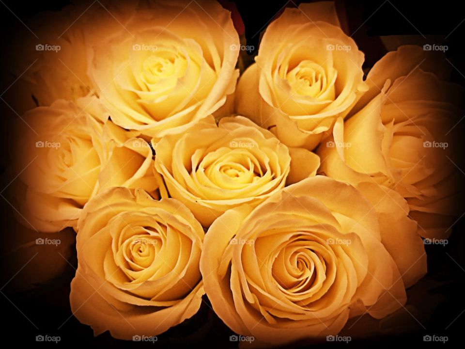 Yellow rose bouquet