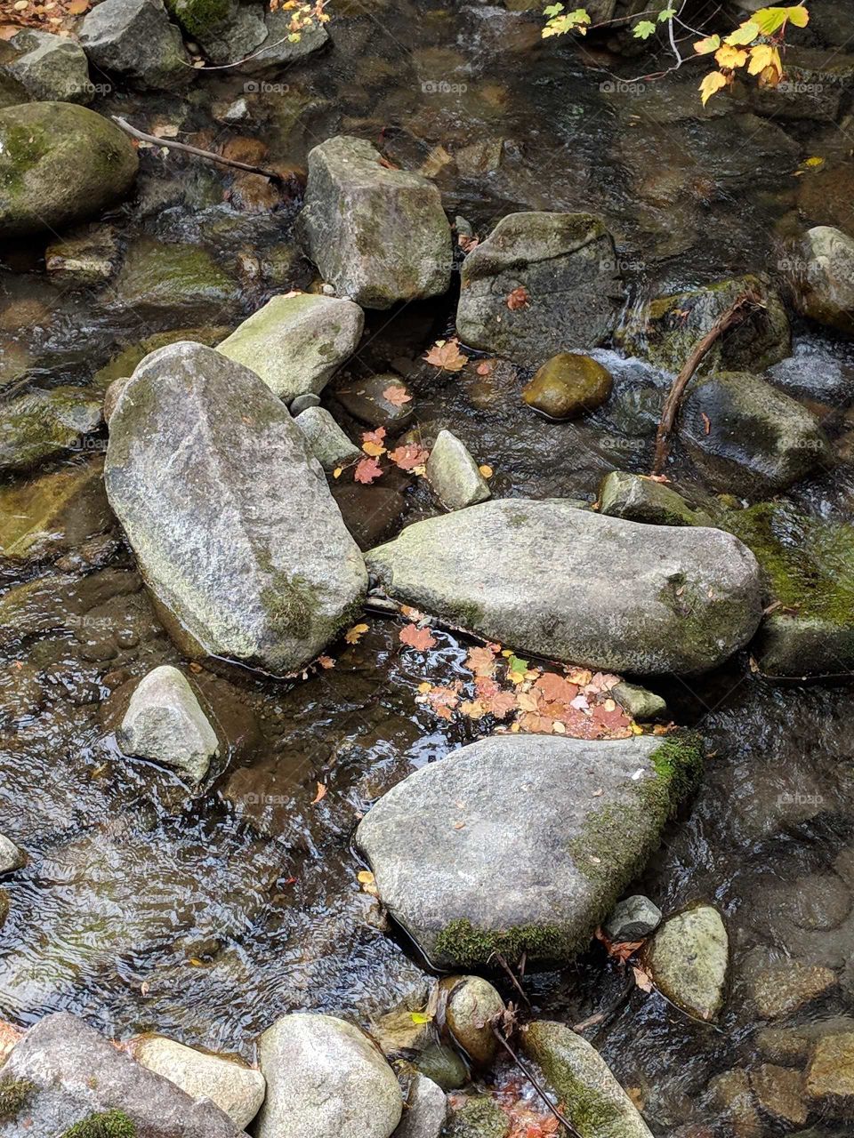 leaves of fall between rocks in a stream