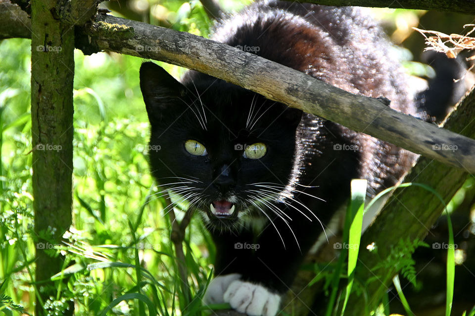 Don’t dare to move, my eyes on you! 