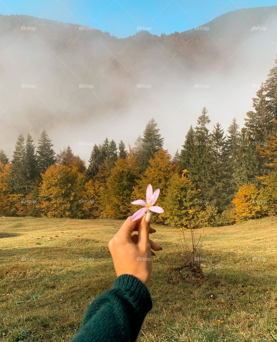 Autumn colors on a landscape