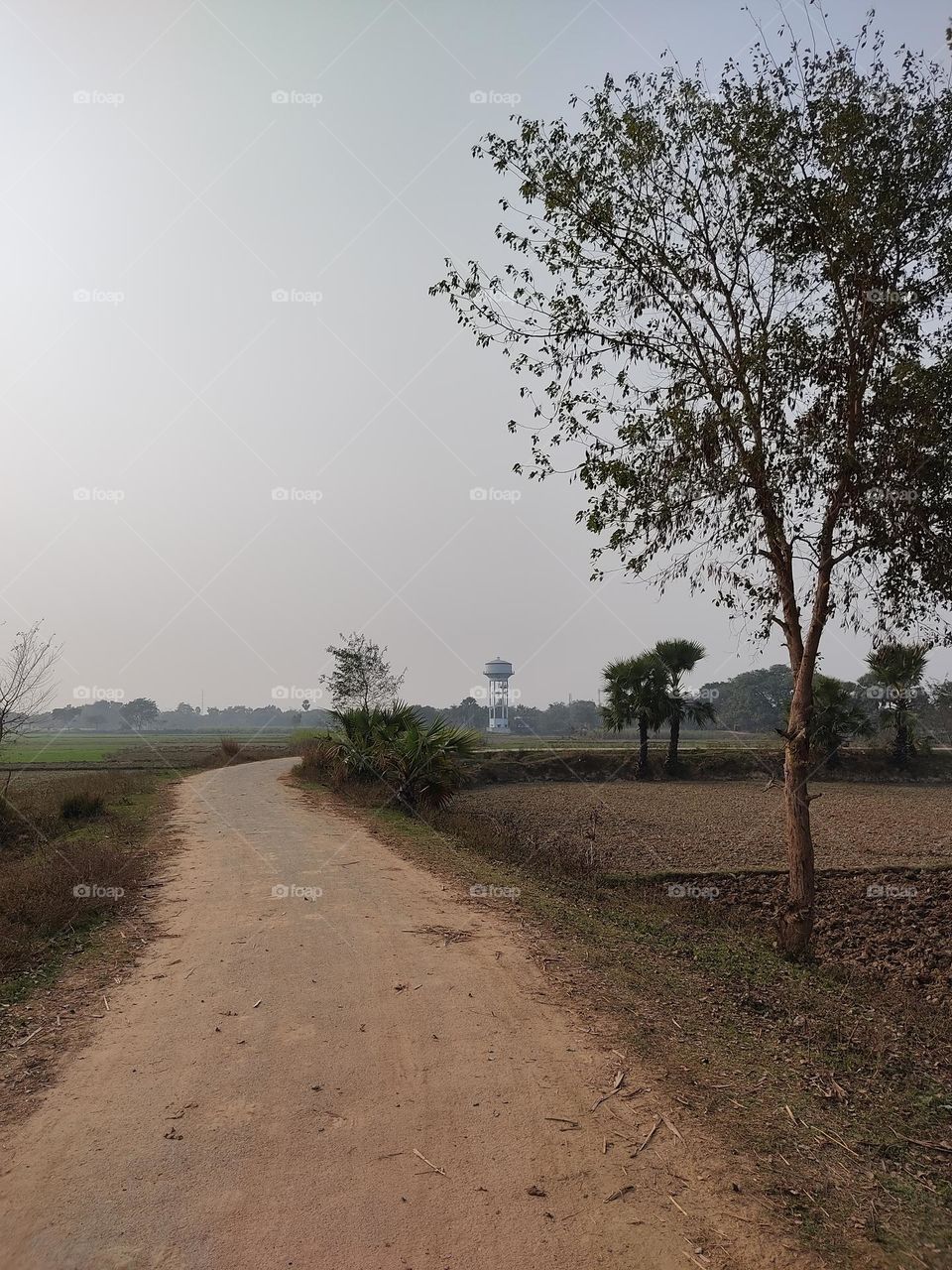 Paved road connecting village countryside.