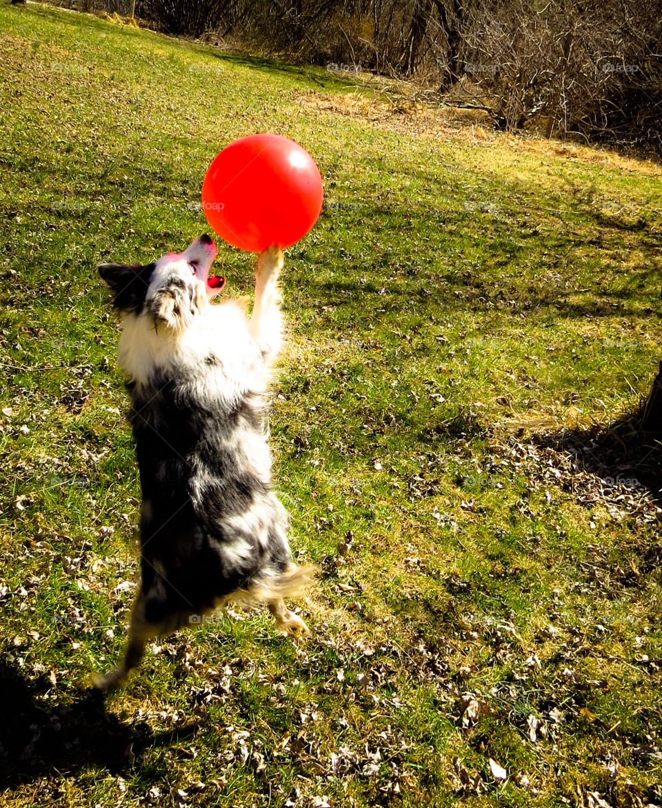 Balloon Jump