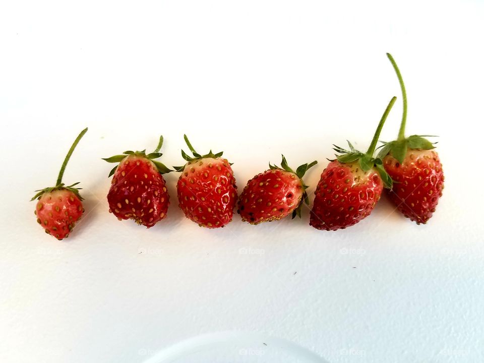 Homegrown strawberries