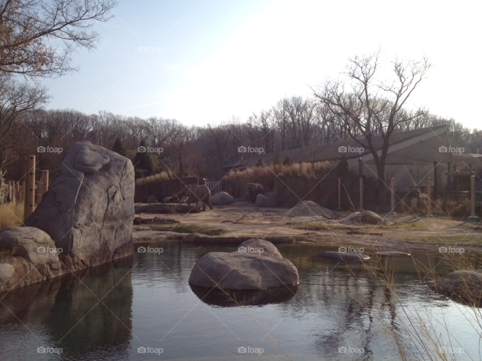 zoo elephant safari cleveland ohio by iphonographer4