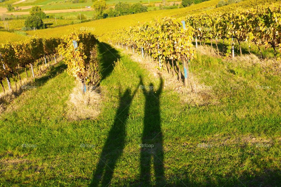 People shadows in autumn. People shadows in autumn