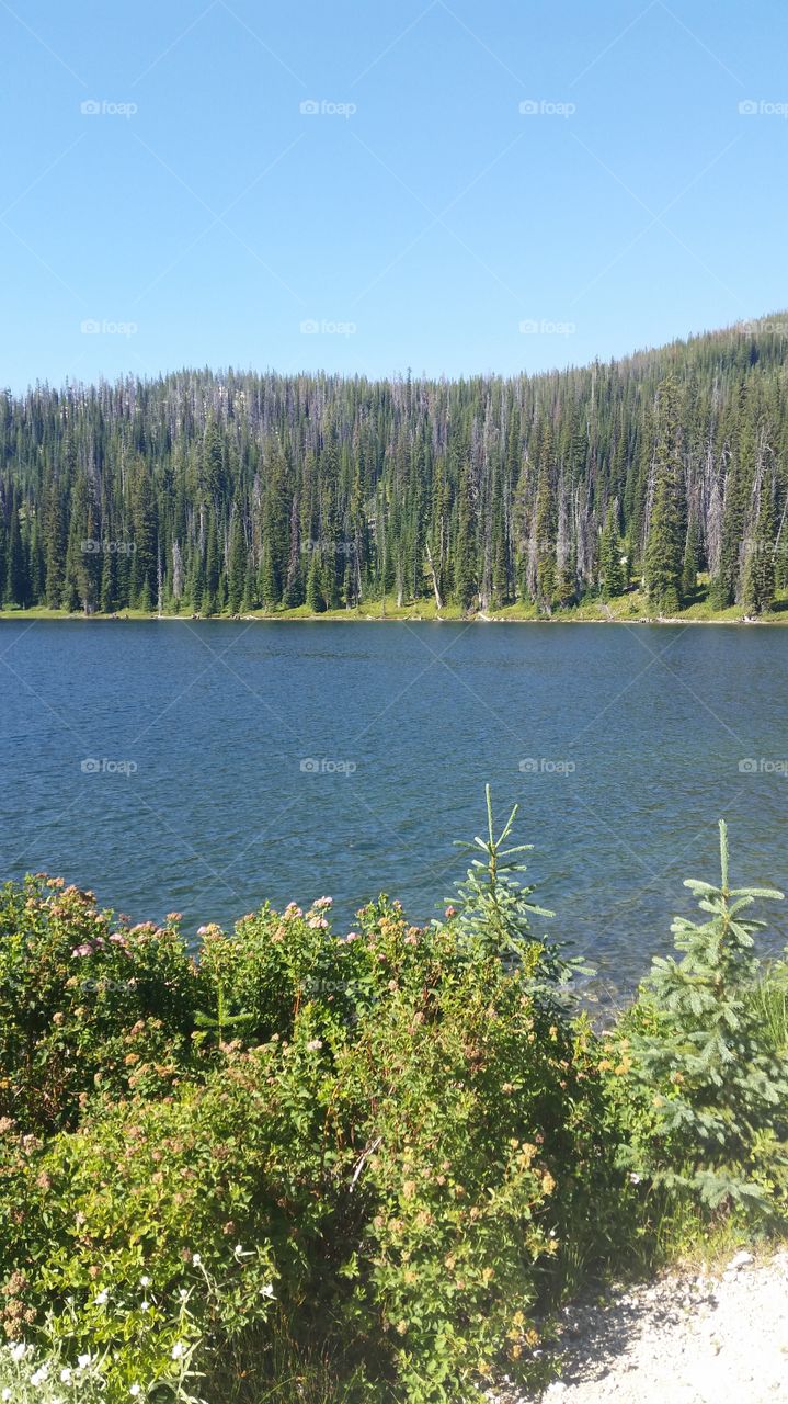 Montana lake