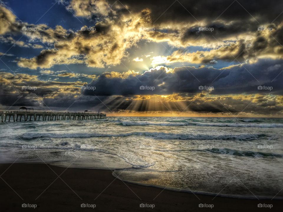 Scenic view of nature