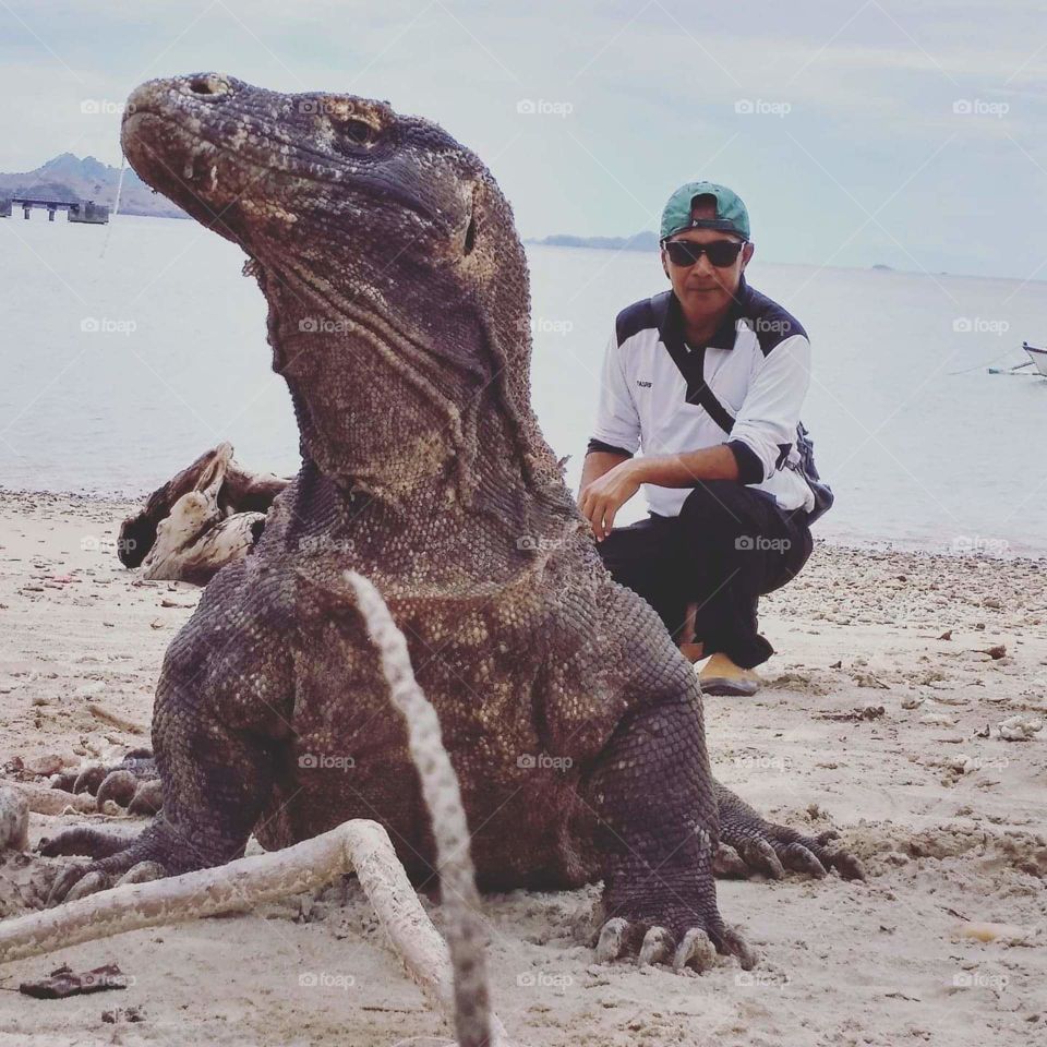 komodo island